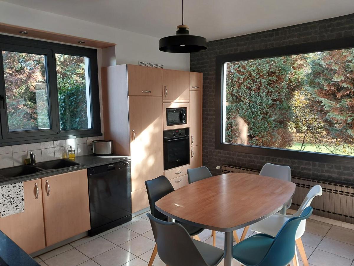 Les Pics Verts Annecy Exterior foto